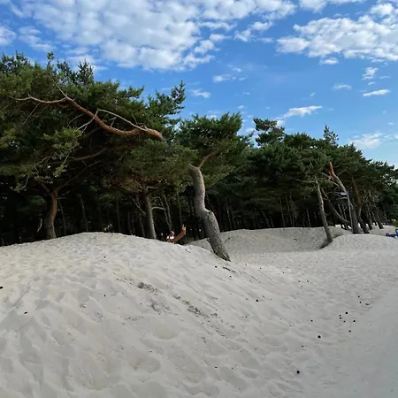 別荘 Jesionowa 3 *