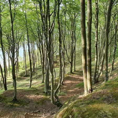 Jesionowa 3 * Rowy (Pomerania)