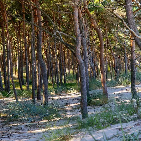 Jesionowa 3 * ロビ