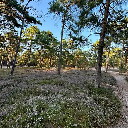 Jesionowa 3 Feriehus