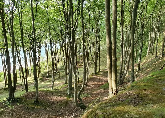 Jesionowa 3 * Rowy (Pomerania)