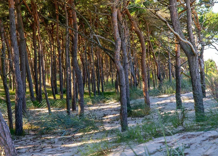 Jesionowa 3 * Rowy (Pomerania)