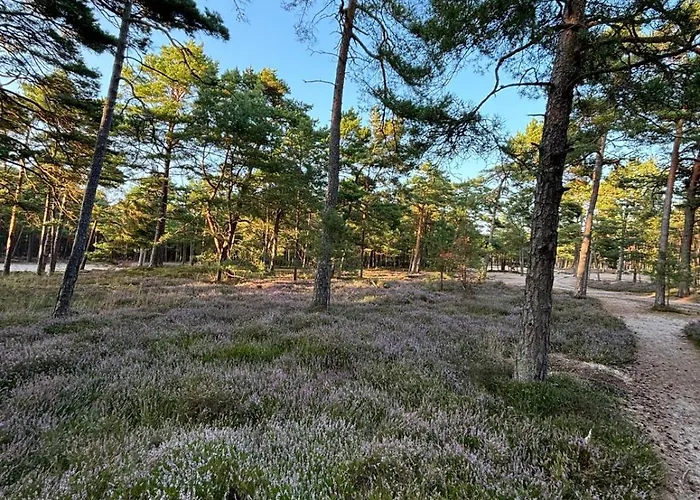 Jesionowa 3 Semesterbostad